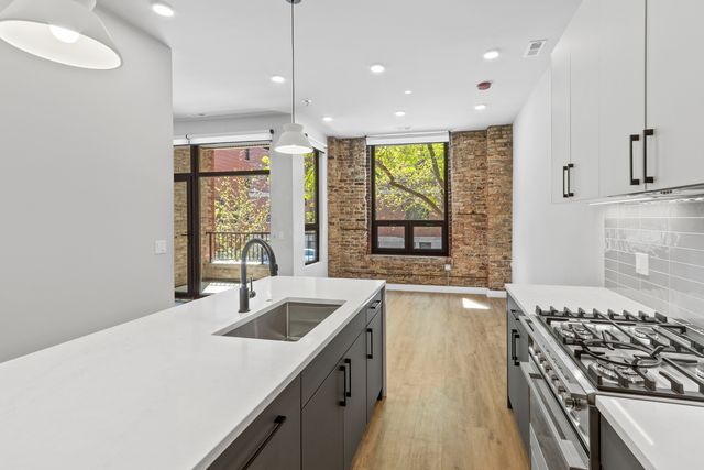 1550 W Monroe Street 203, Chicago, IL 60607