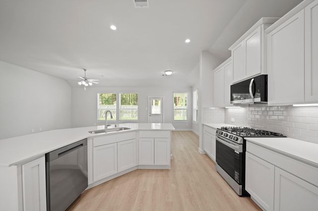 15102 Bank Swallow Place, Magnolia, TX 77354