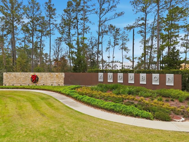 15102 Bank Swallow Place, Magnolia, TX 77354