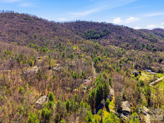 8 Covewood Road, Asheville, NC 28805