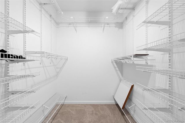 3855 Canyon Ranch Road Road 104, Highlands Ranch, CO 80126