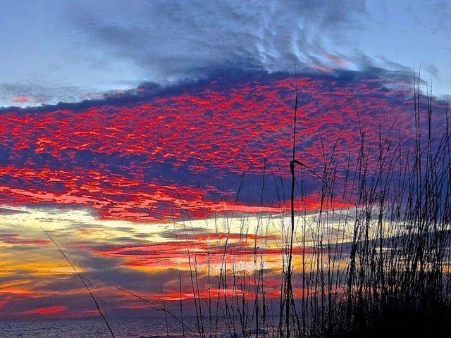 Lot 77 Cypress Drive, Santa Rosa Beach, FL 32459
