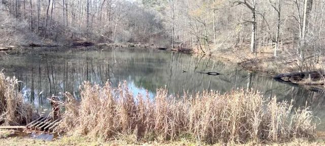 106 Gettysburg Place, Atlanta, GA 30350