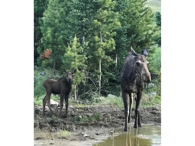 26 County Road 4946 AKA Buttercup Lane, Grand Lake, CO 80447