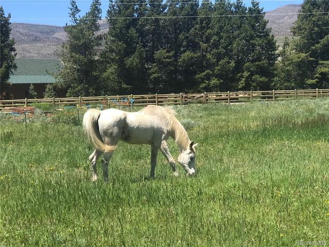26 County Road 4946 AKA Buttercup Lane, Grand Lake, CO 80447