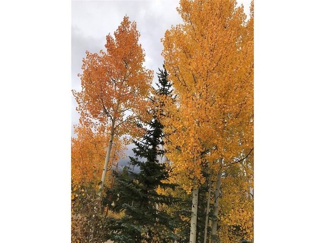 26 County Road 4946 AKA Buttercup Lane, Grand Lake, CO 80447