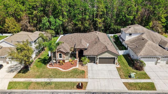 1644 BEACONSFIELD DRIVE, Wesley Chapel, FL 33543