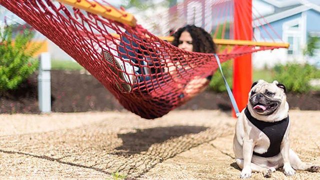 9104 The Ravine WAY, Austin, TX 78744