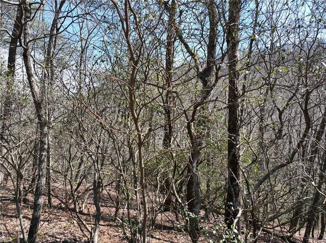 200 Stone Cliff Drive, Ellijay, GA 30536