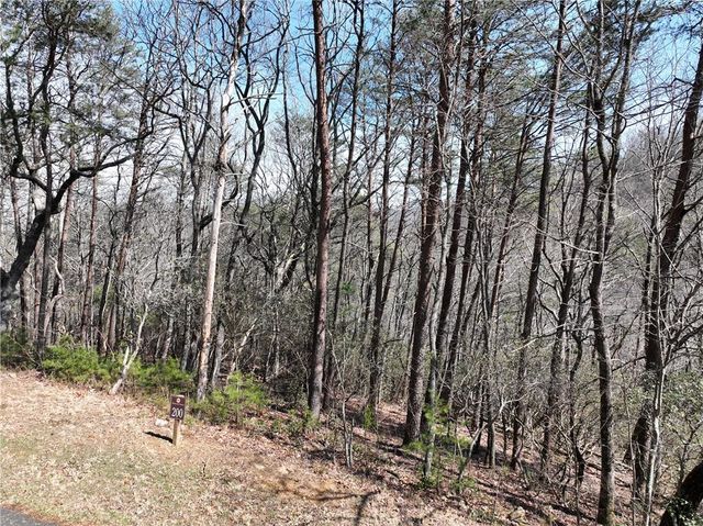 200 Stone Cliff Drive, Ellijay, GA 30536