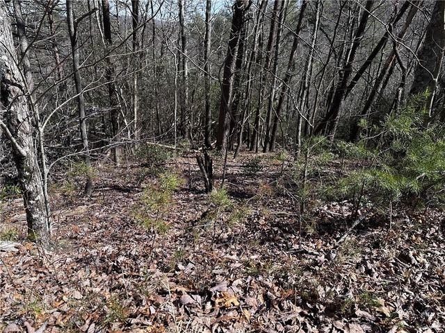 200 Stone Cliff Drive, Ellijay, GA 30536