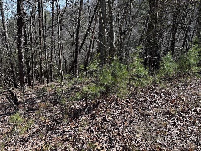 200 Stone Cliff Drive, Ellijay, GA 30536