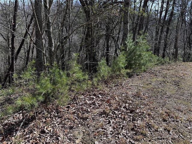 200 Stone Cliff Drive, Ellijay, GA 30536