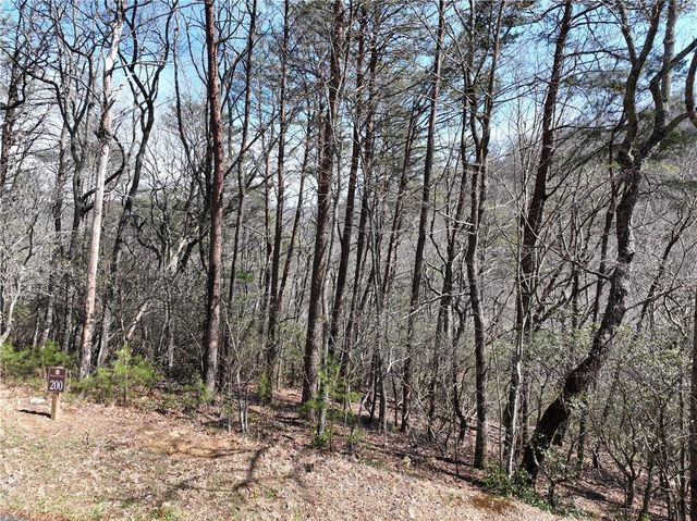 200 Stone Cliff Drive, Ellijay, GA 30536