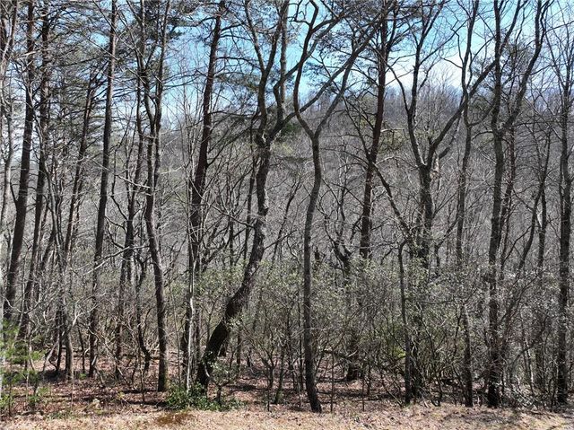 200 Stone Cliff Drive, Ellijay, GA 30536