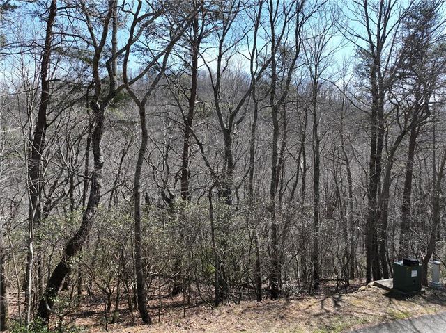 200 Stone Cliff Drive, Ellijay, GA 30536