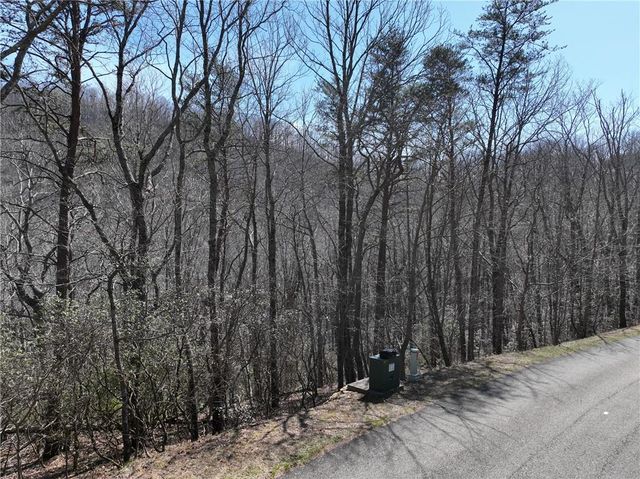 200 Stone Cliff Drive, Ellijay, GA 30536