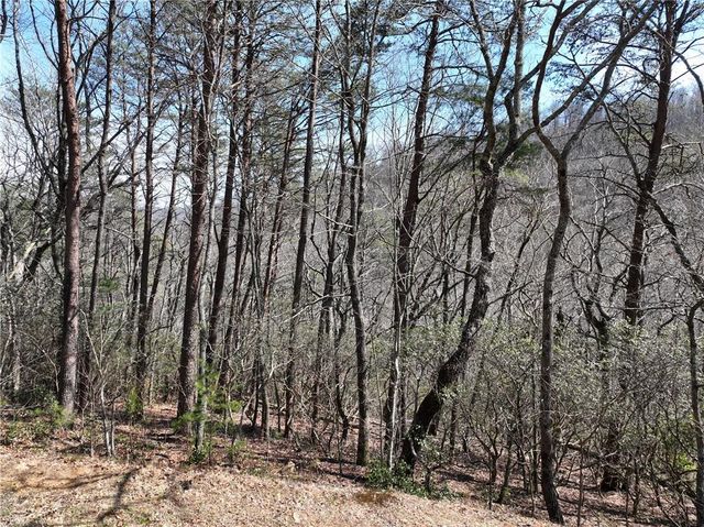 200 Stone Cliff Drive, Ellijay, GA 30536