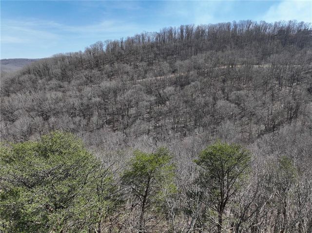 200 Stone Cliff Drive, Ellijay, GA 30536