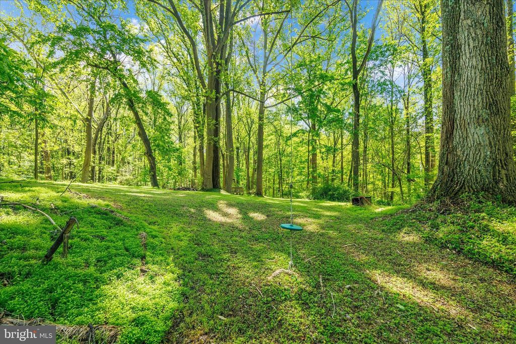 Image 39 of property listing at 10913 SUMMIT AVE, Woodstock, MD 21163