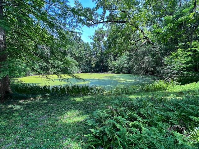 411 NW 26TH STREET, Gainesville, FL 32607