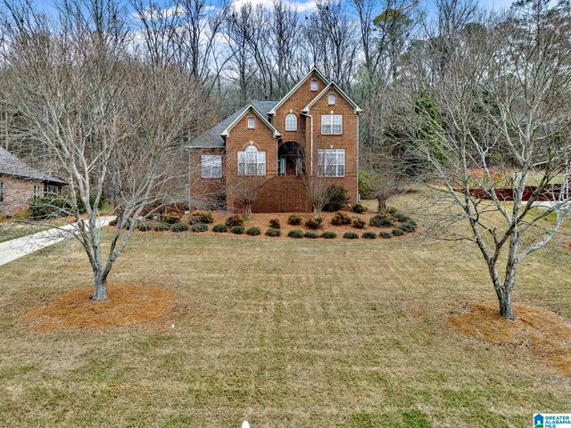 973 MACDONALD LAKE ROAD, Springville, AL 35146