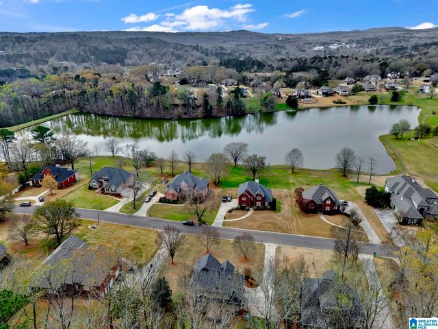 973 MACDONALD LAKE ROAD, Springville, AL 35146