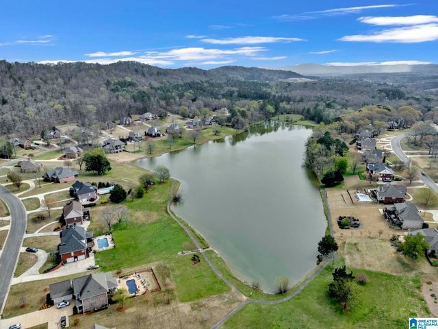 973 MACDONALD LAKE ROAD, Springville, AL 35146