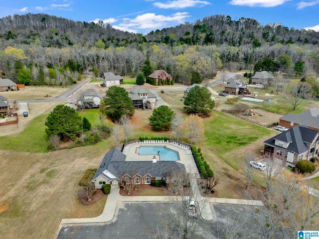 973 MACDONALD LAKE ROAD, Springville, AL 35146
