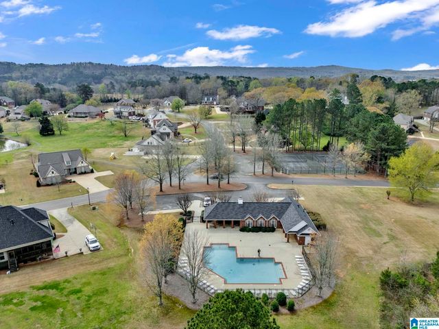 973 MACDONALD LAKE ROAD, Springville, AL 35146