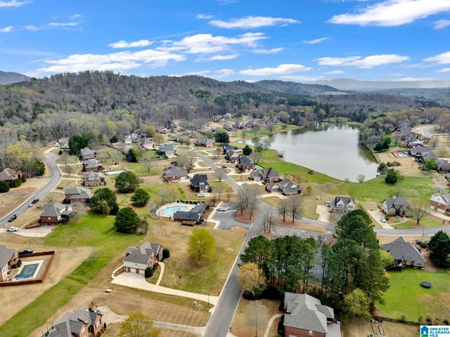 973 MACDONALD LAKE ROAD, Springville, AL 35146