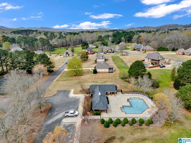 973 MACDONALD LAKE ROAD, Springville, AL 35146