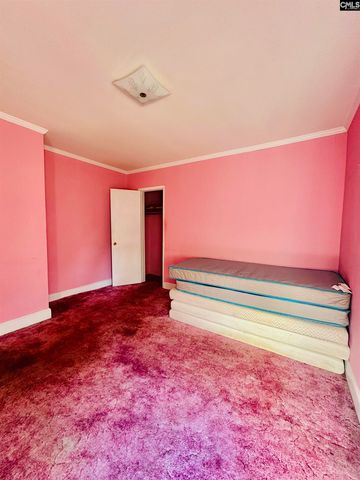 1542 Belleville Road, Orangeburg, SC 29115