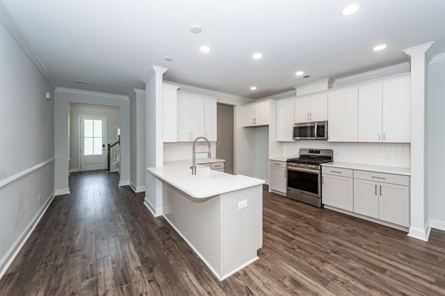 459 Green Fern Drive, Summerville, SC 29483