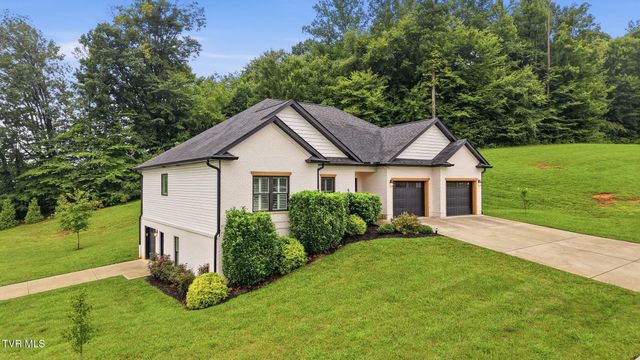 5 Momma Lou Court, Jonesborough, TN 37659