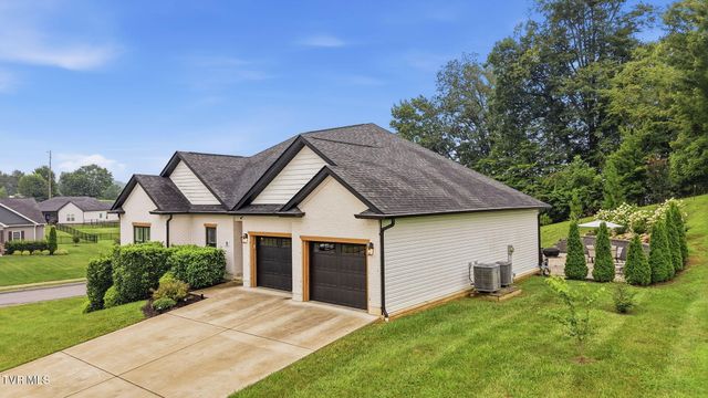 5 Momma Lou Court, Jonesborough, TN 37659