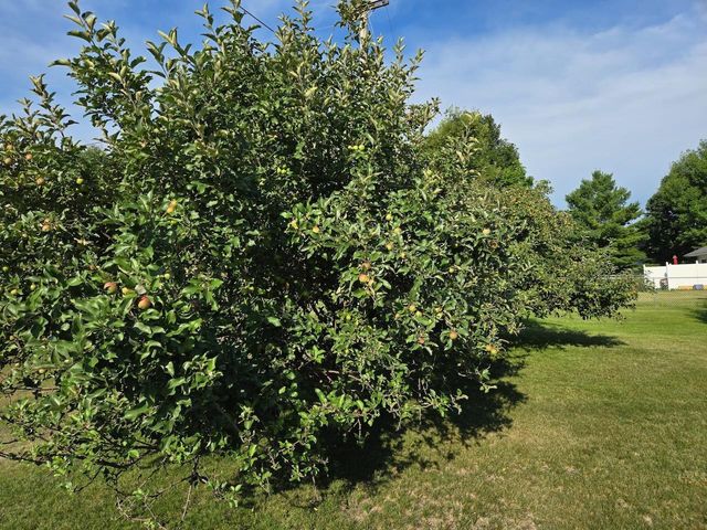 1207 Greenfield Avenue, Fergus Falls, MN 56537