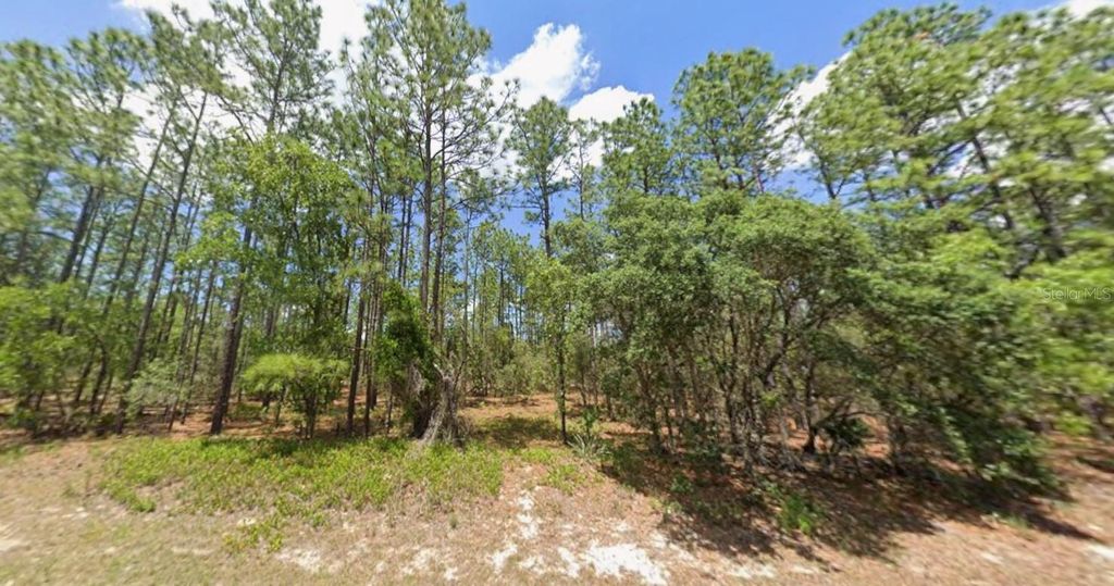 Image 2 of property listing at 3704 W LAPPULA LANE, Citrus Springs, FL 34433