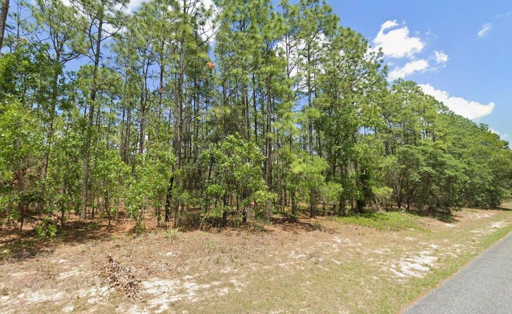 Image 3 of property listing at 3704 W LAPPULA LANE, Citrus Springs, FL 34433