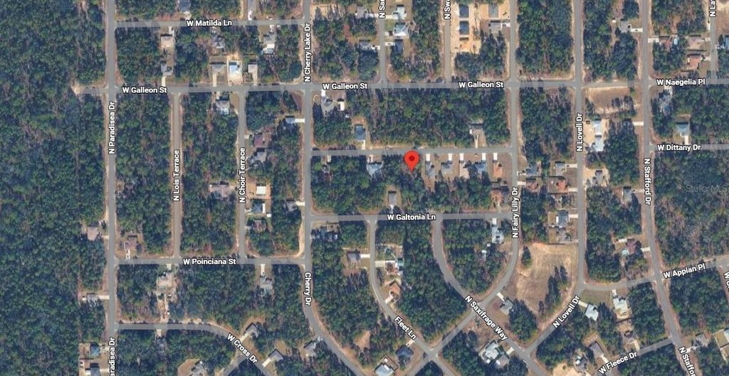 Image 4 of property listing at 3704 W LAPPULA LANE, Citrus Springs, FL 34433