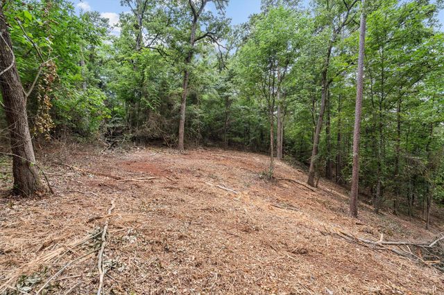 23487 Canyon Drive, Bullard, TX 75757