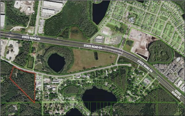 14356 BLACK LAKE ROAD, Odessa, FL 33556