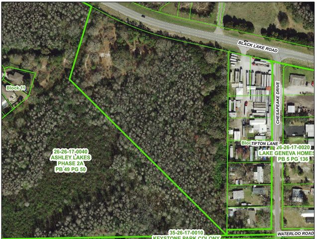 14356 BLACK LAKE ROAD, Odessa, FL 33556