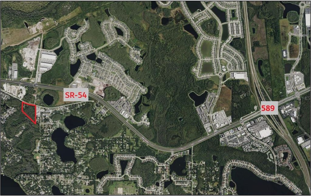 14356 BLACK LAKE ROAD, Odessa, FL 33556