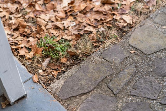 503 AUGUSTA AVE, Grottoes, VA 24441