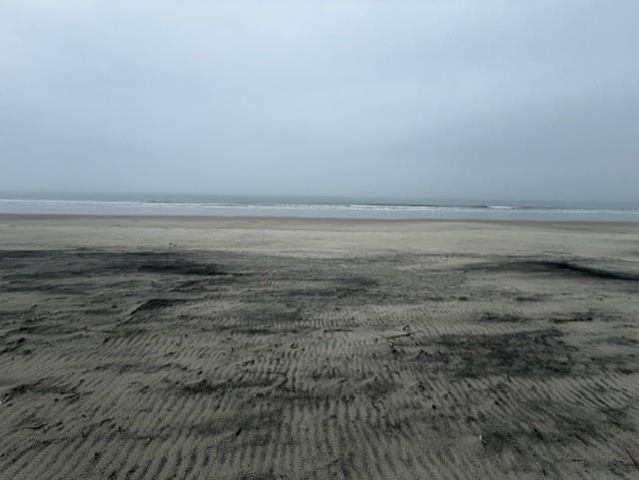 240 Atlantic Ave., Pawleys Island, SC 29585