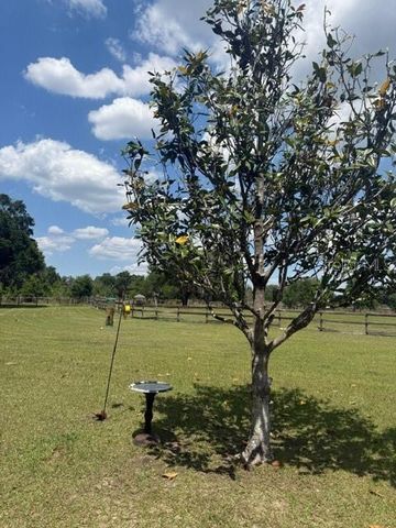 13551 NE 14TH AVENUE, Citra, FL 32113