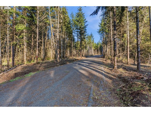 217 Durins Pl, Castle Rock, WA 98611