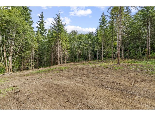 217 Durins Pl, Castle Rock, WA 98611