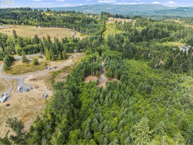 217 Durins Pl, Castle Rock, WA 98611